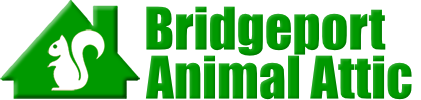 Bridgeport Animal Attic